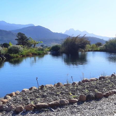 Gecko Cottage At Artemis Franschhoek Esterno foto