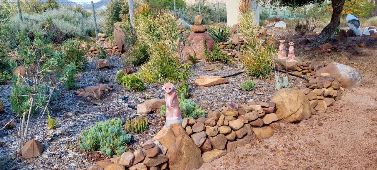 Gecko Cottage At Artemis Franschhoek Esterno foto