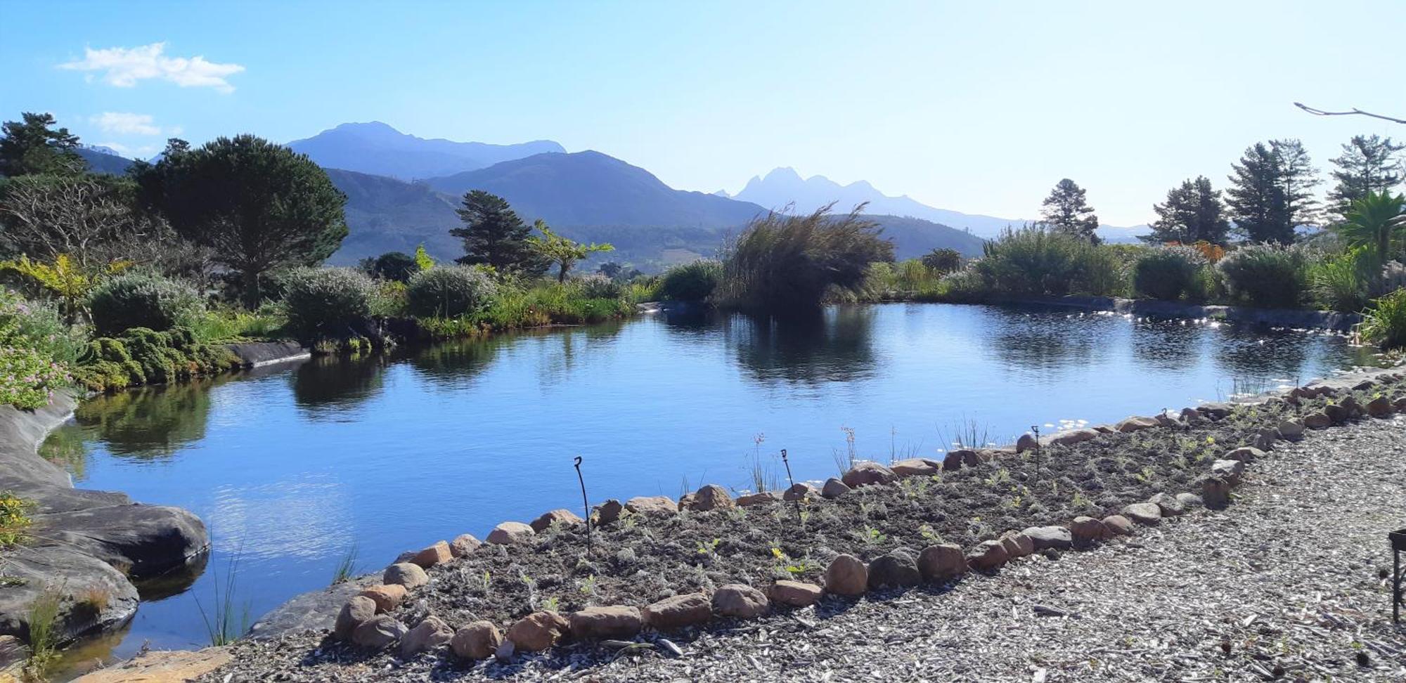 Gecko Cottage At Artemis Franschhoek Esterno foto